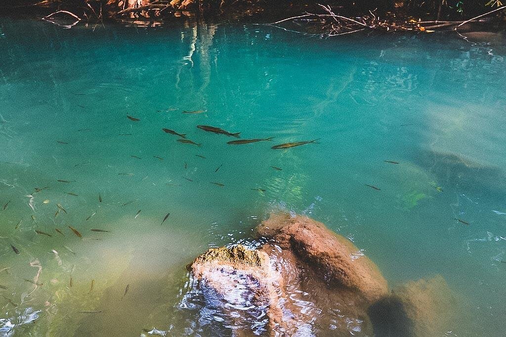 מפלי ארוואן - 7 המפלים (Erawan Waterfalls)